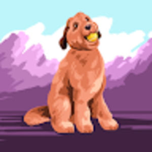 Meet your Posher, Elcy